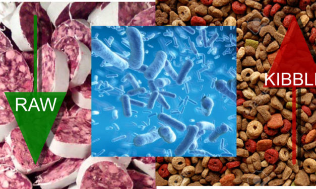 Raw meat based diet influences faecal microbiome and end products of fermentation in healthy dogs.