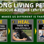 Long Living Pets Rescue and Rehab Center